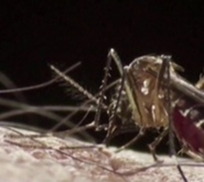 Dengue: Advierten que epidemia será más fuerte  - Paraguay.com