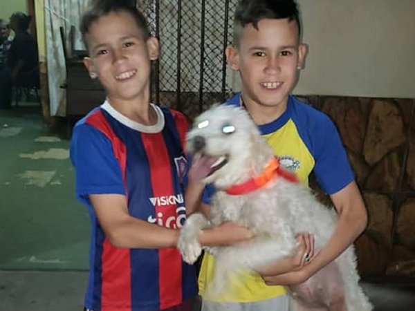 Firulais y sus amigos recibirán atención gratuita en Capiatá