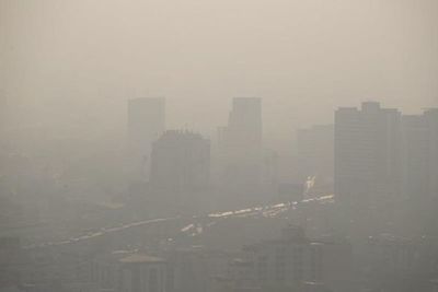 La contaminación acelera el enfisema pulmonar tanto como una caja de cigarros al día - Ciencia - ABC Color