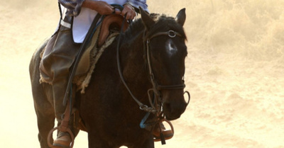 Paró en medio de la competencia ¡por su caballo!