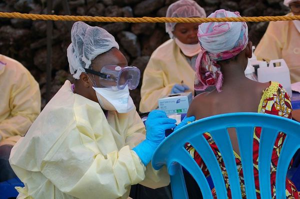 Ébola: Los científicos aseguran que están a un paso de conseguir la cura