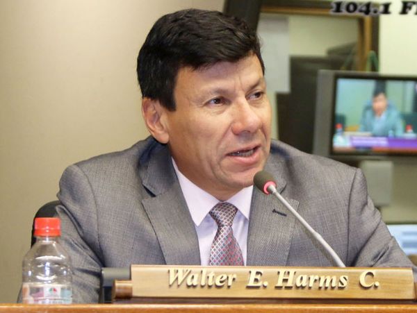 Harms: Decepcionante primer año de mandato de Abdo Benítez
