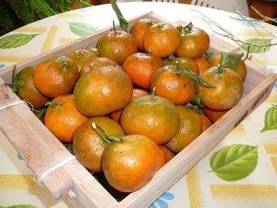 Mandarina - ABC Rural - ABC Color