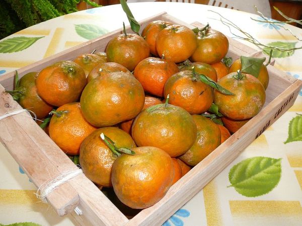 Mandarina - ABC Rural - ABC Color