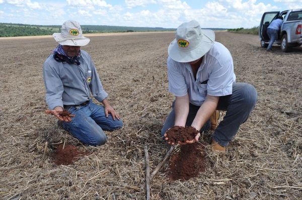 Optimizar condiciones de suelo y agricultura sustentable - ABC Rural - ABC Color