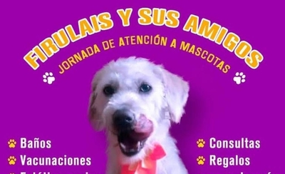 HOY / Kerkus invita a vacunación en “la casa de Firuláis”