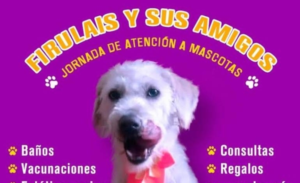 HOY / Kerkus invita a vacunación en “la casa de Firuláis”