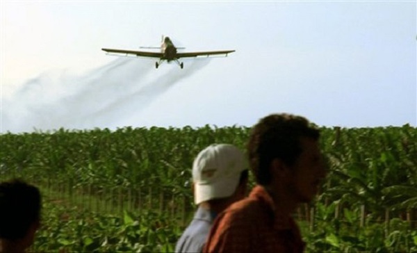 ONU condena a Paraguay por muerte a causa de agroquímicos