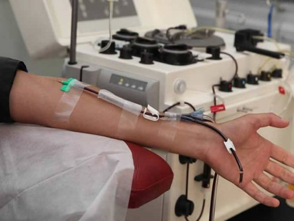 Médicos podrán realizar transfusiones de sangre a Testigos de Jehová