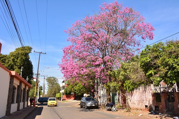 10 postales de Asunción para dimensionar su fisonomía