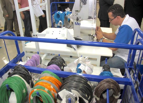 Replantean Rediex para fomentar envíos con nueva dirección
