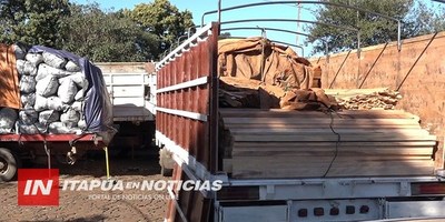 CONTINUA EXPLOTACIÓN FORESTAL CLANDESTINA SIGUE SIENDO DESCUBIERTA