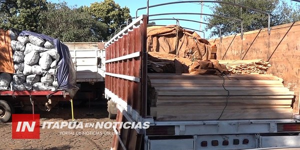 CONTINUA EXPLOTACIÓN FORESTAL CLANDESTINA SIGUE SIENDO DESCUBIERTA