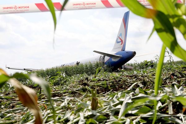 Avión ruso efectúa aterrizaje de emergencia en campo de maíz - Mundo - ABC Color