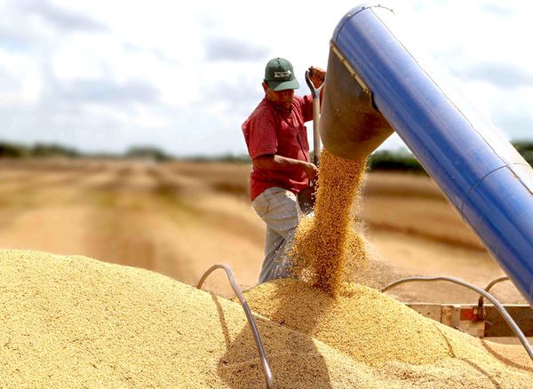 Deudas de agricultores se incrementaron 12,6%