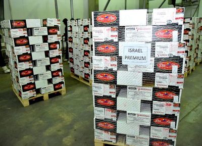 Exportarán carne con marca premium al mercado de Israel