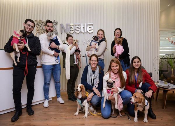 “Pets at Work” de Nestlé Paraguay