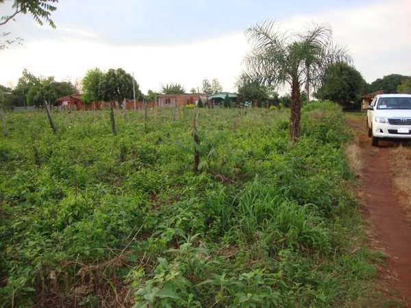 Supuestos campesinos atacaron un establecimiento en Caazapá