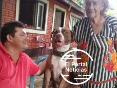 Mataron a balazo un pitbull