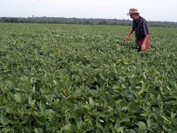 Paraguay es el primer país condenado en la ONU por un caso de trasfondo ambiental