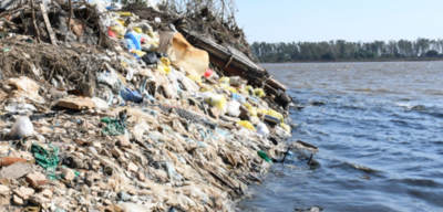 Basura mata a los peces del Mburicaó | Noticias Paraguay