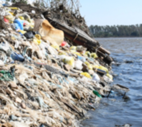 Concluyen que basura en arroyo Mburicaó mata a los peces - Paraguay.com