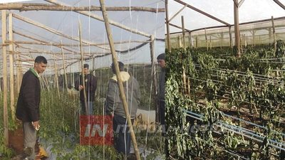 LA MUNICIPALIDAD DE TOMÁS R PEREIRA ENTREGA SEMILLAS A HORTICULTORES AFECTADOS POR LAS HELADAS