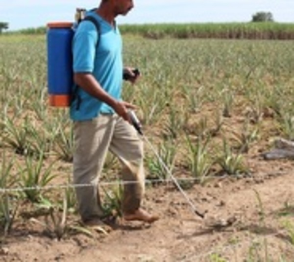 Estado paraguayo condenado por caso con trasfondo ambiental - Paraguay.com