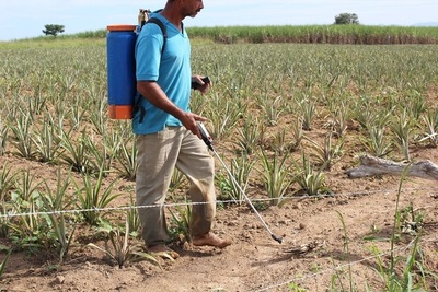 Estado paraguayo condenado por caso con trasfondo ambiental | Noticias Paraguay