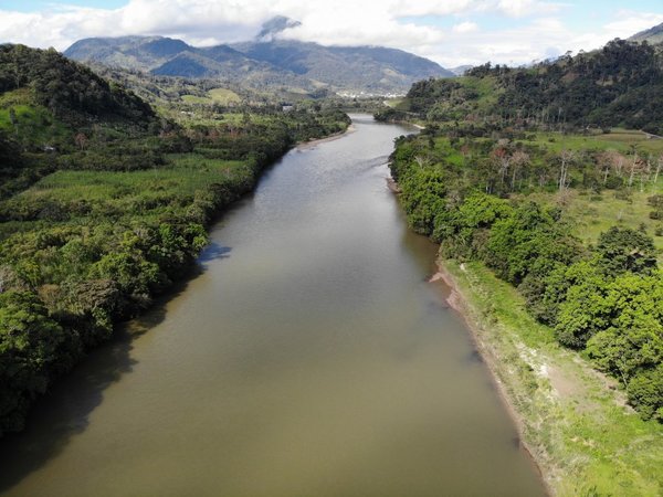 Deforestación en la Amazonía brasileña creció 66%