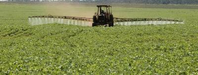 ONU acusa a Paraguay de violar los derechos humanos por el uso de agroquímicos » Ñanduti