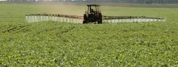 ONU acusa a Paraguay de violar los derechos humanos por el uso de agroquímicos » Ñanduti