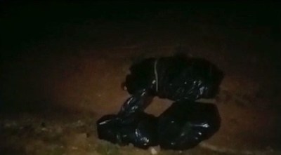 Encuentran un cadáver desmembrado en Amambay - ADN Paraguayo