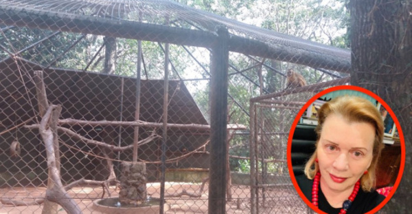 Guarara se armó por monos sueltos en el zoo