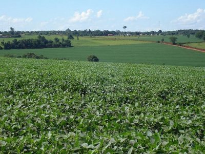 Yerutí, una colonia con nubes de agrotóxicos