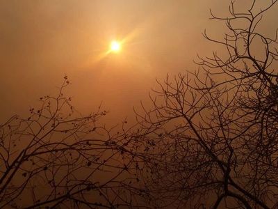 Arde el Pantanal paraguayo - Nacionales - ABC Color