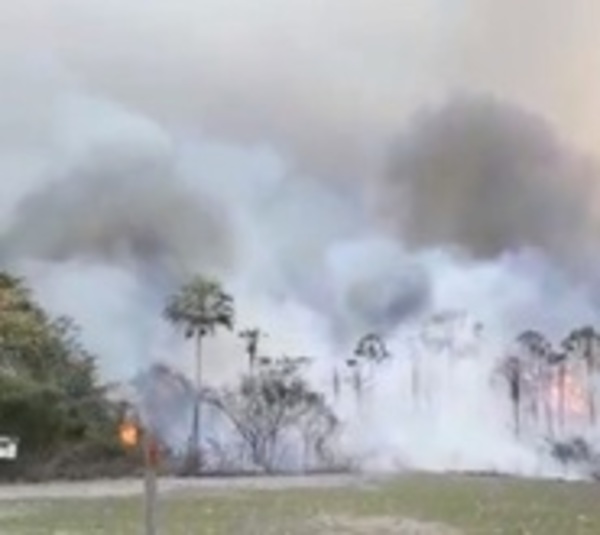 Pantanal paraguayo arde en llamas - Paraguay.com