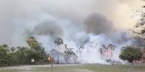 Pantanal paraguayo arde en llamas | Noticias Paraguay