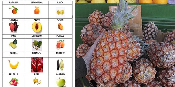 FRUTAS, BARRERAS NATURALES CONTRA ENFERMEDADES