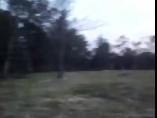 El mejor regalo: Le donaron un terreno a mamá que quedó en la calle