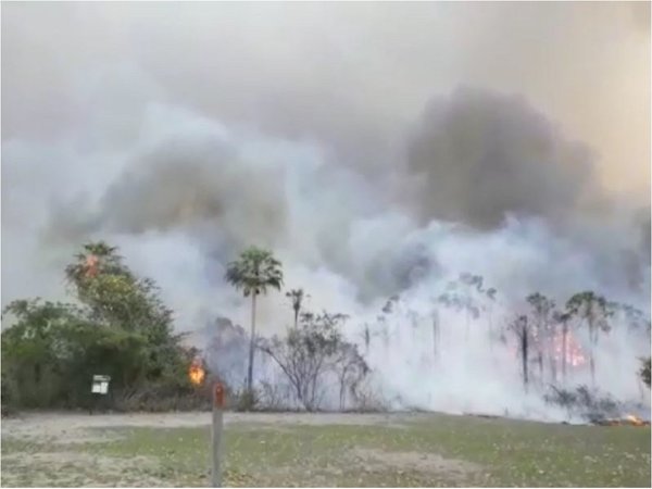 Preocupante situación por incendio forestal en el Pantanal paraguayo