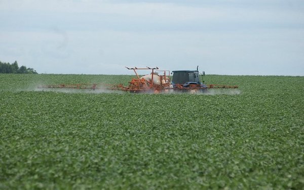 Paraguay condenado por la ONU debido al uso masivo de agroquímicos - Digital Misiones