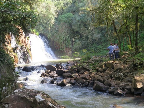 Importantes parques y reservas perdieron estatus de área protegida