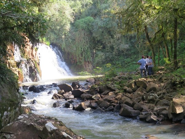 Importantes parques y reservas perdieron estatus  de área  protegida