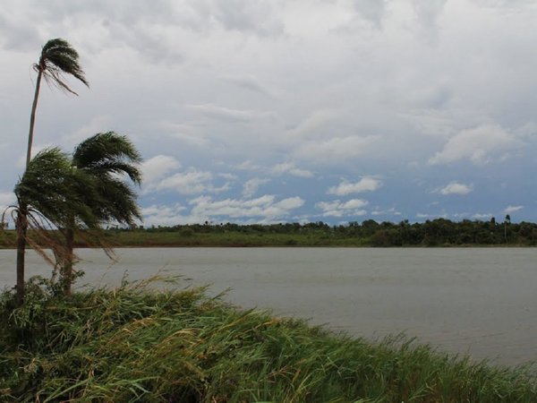 Cultivos y embarcaderos invaden bosques  de Itaipú en Puerto Indio