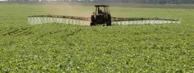 ONU acusa a Paraguay por violar los DDHH con uso de agroquímicos - ADN Paraguayo