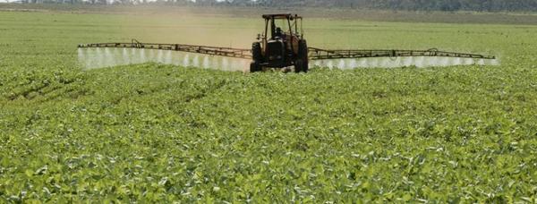ONU acusa a Paraguay por violar los DDHH con uso de agroquímicos - ADN Paraguayo