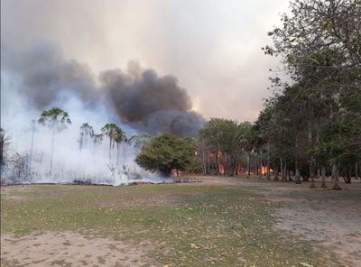 Zona más afectada por incendio es la Estación Biológica “Los Tres Gigantes”