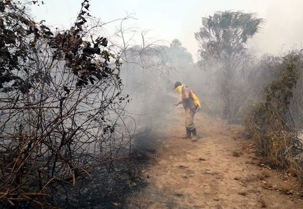 La SEN envía bomberos especialistas forestales en zona afectada del Chaco » Ñanduti