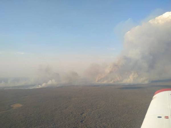 Logran controlar incendio en el Pantanal paraguayo; reserva “Los Tres Gigantes” fue arrasada - ADN Paraguayo